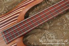 Carl Thompson 2010's Rainbow Bass_7