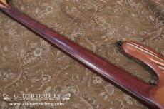 Carl Thompson 2010's Rainbow Bass_9