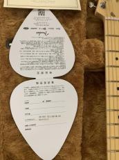 Fender USA AM PERF TELE HUM MN VWT 新品同様!ブルー系ハードケース付き_5