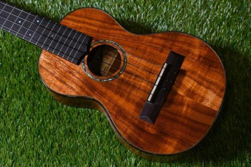 HAMAGEN C-015 Concert