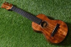 HAMAGEN C-015 Concert_2