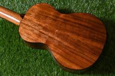 HAMAGEN C-015 Concert_3