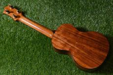 HAMAGEN C-015 Concert_4