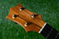 HAMAGEN C-015 Concert_5