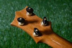 HAMAGEN C-015 Concert_6