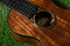 HAMAGEN C-015 Concert_9