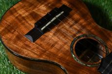 HAMAGEN C-015 Concert_10