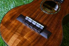 HAMAGEN C-015 Concert_11