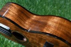 HAMAGEN C-015 Concert_14