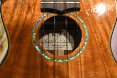 HAMAGEN C-015 Concert_15