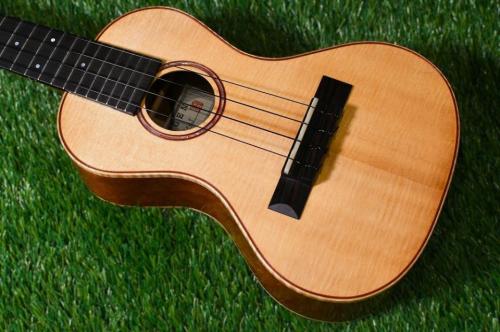 HAMAGEN C-017 Concert