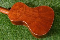 HAMAGEN C-017 Concert_3