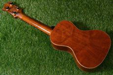 HAMAGEN C-017 Concert_4