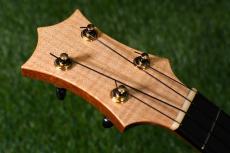 HAMAGEN C-017 Concert_5