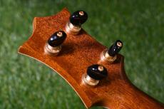 HAMAGEN C-017 Concert_6