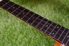 HAMAGEN C-017 Concert_7