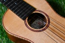 HAMAGEN C-017 Concert_9