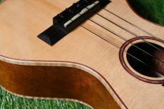 HAMAGEN C-017 Concert_10