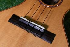 HAMAGEN C-017 Concert_12