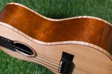 HAMAGEN C-017 Concert_15