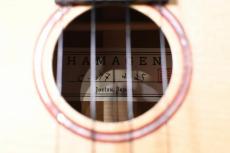 HAMAGEN C-017 Concert_16