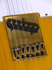 Navigator '70s Custom Telecaster_8
