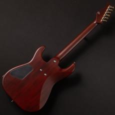 Kz Guitar Works Kz SS-1 Standard Dark Brown_10