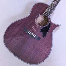 Headway(ヘッドウェイ)、アコースティックギター/エレアコの検索結果1