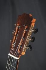 丸山太郎 75号　松/中南米ローズウッド単板　ワンオーナー美品_4