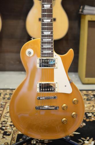 Edwards E-LP-STD Gold Top