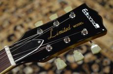 Edwards E-LP-STD Gold Top_4
