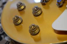 Edwards E-LP-STD Gold Top_7