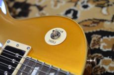 Edwards E-LP-STD Gold Top_8