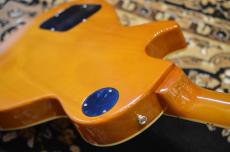 Edwards E-LP-STD Gold Top_10