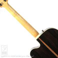 Sadowsky The Jim Hall Model LTD Jacaranda_6