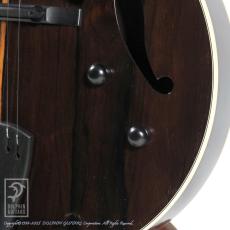 Sadowsky The Jim Hall Model LTD Jacaranda_11