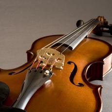 FISHMAN V-300 Concert Series Violin Pickup《ヴァイオリン用ピックアップ》【オンラインストア限定】_2