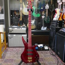 TUNE TWX-8 Trem Custom 【USED】_2