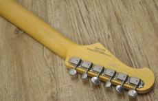 FUJIGEN neo classic SNST103_5