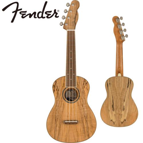 Fender ZUMA EXOTIC CONCERT UKULELE -Natural Spalted Maple-