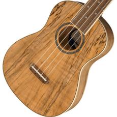 Fender ZUMA EXOTIC CONCERT UKULELE -Natural Spalted Maple-_2