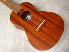 Famous FC-1G_2