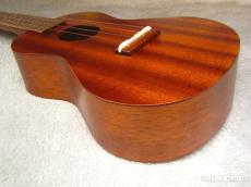 Famous FC-1G_3