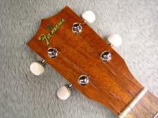 Famous FC-1G_5
