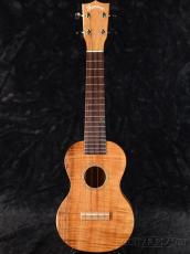 Famous FS-200