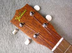 Famous FLS-60_5