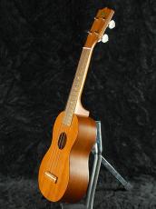 Famous FS-1_3