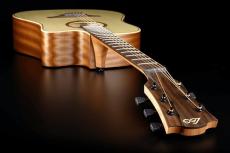 LAG Guitars Tramontane 70 T70DCE【オンラインストア限定】_4