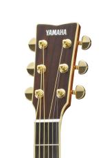 YAMAHA LS16 ARE BS【オンラインストア限定】_2