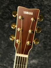 YAMAHA LL6 ARE -Natural-【オンラインストア限定】_5